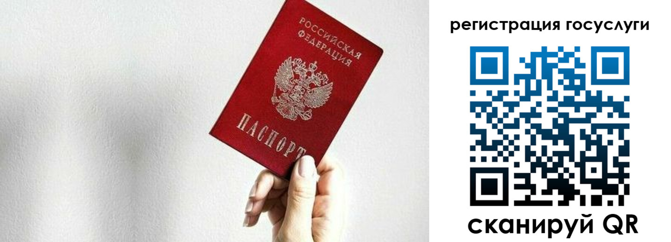 прописка гарантия в Данилове